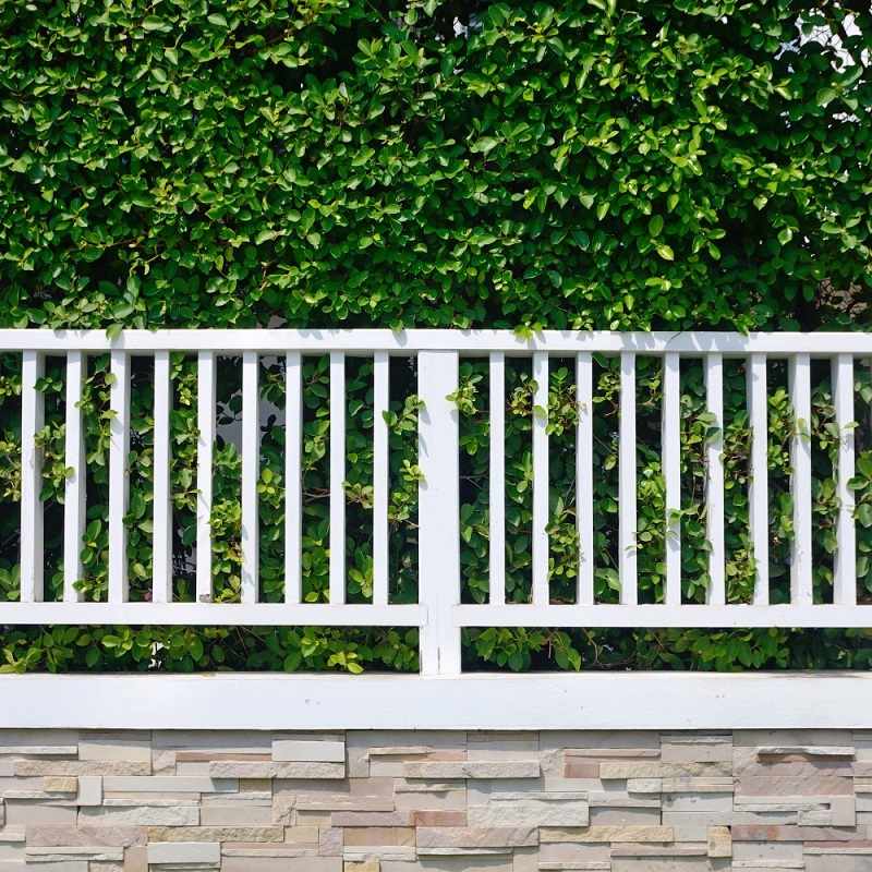 fencing-garden